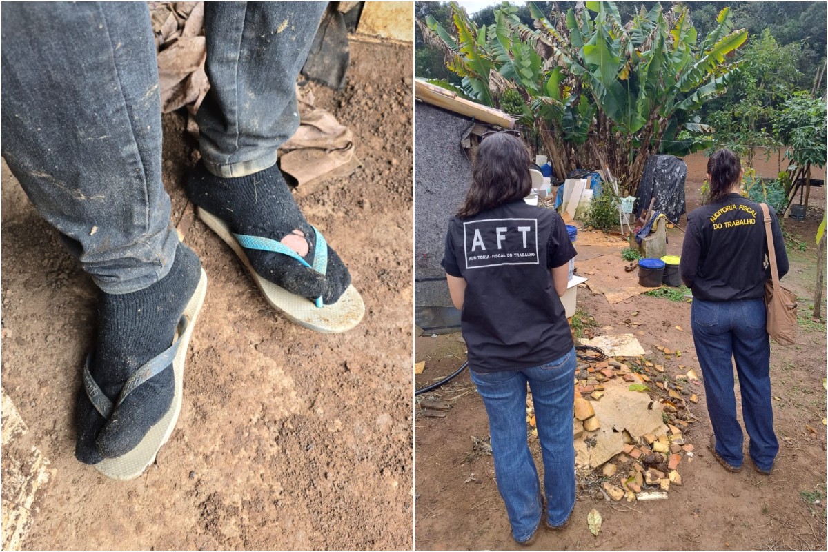 Trabalhadores rurais resgatados em sítio de Cotia