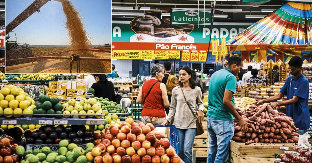 Alimentos em supermercado e colheita agrícola