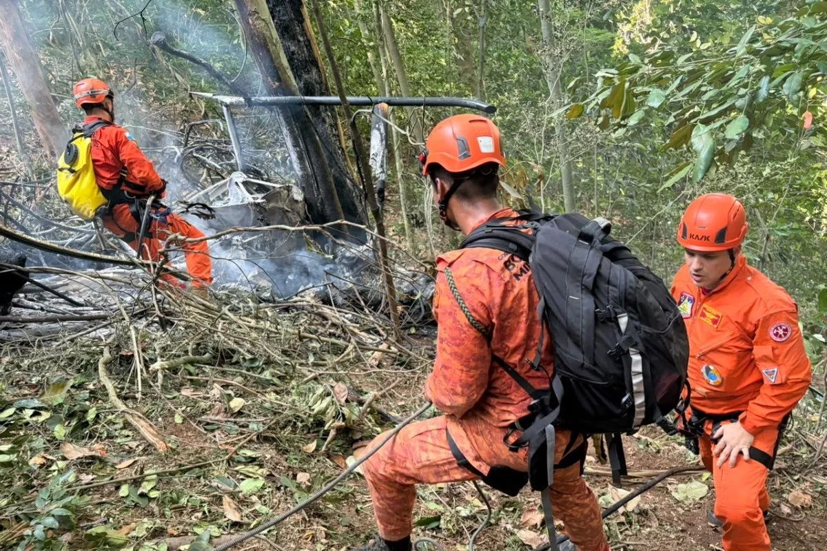 Equipes do Corpo de Bombeiros em operação em área de mata no Rio de Janeiro