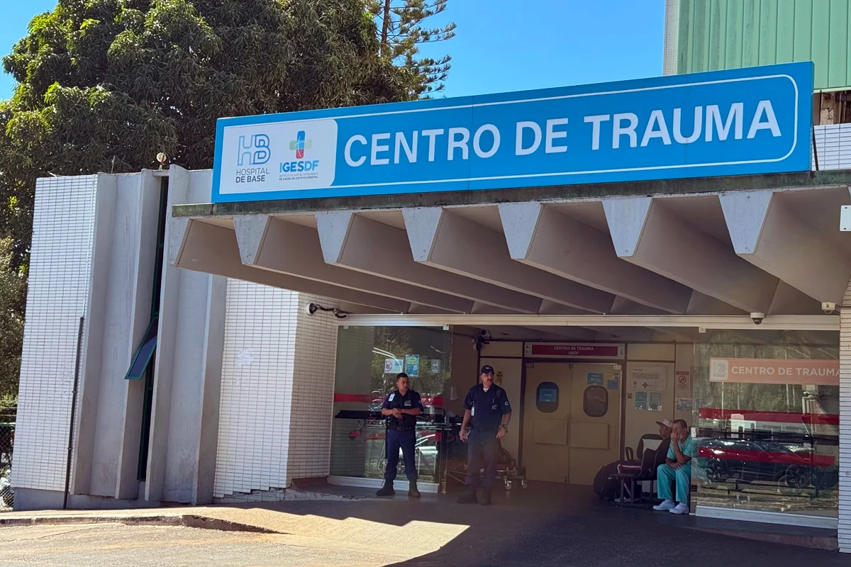 Bombeiros prestam atendimento a veterinária na Esplanada dos Ministérios