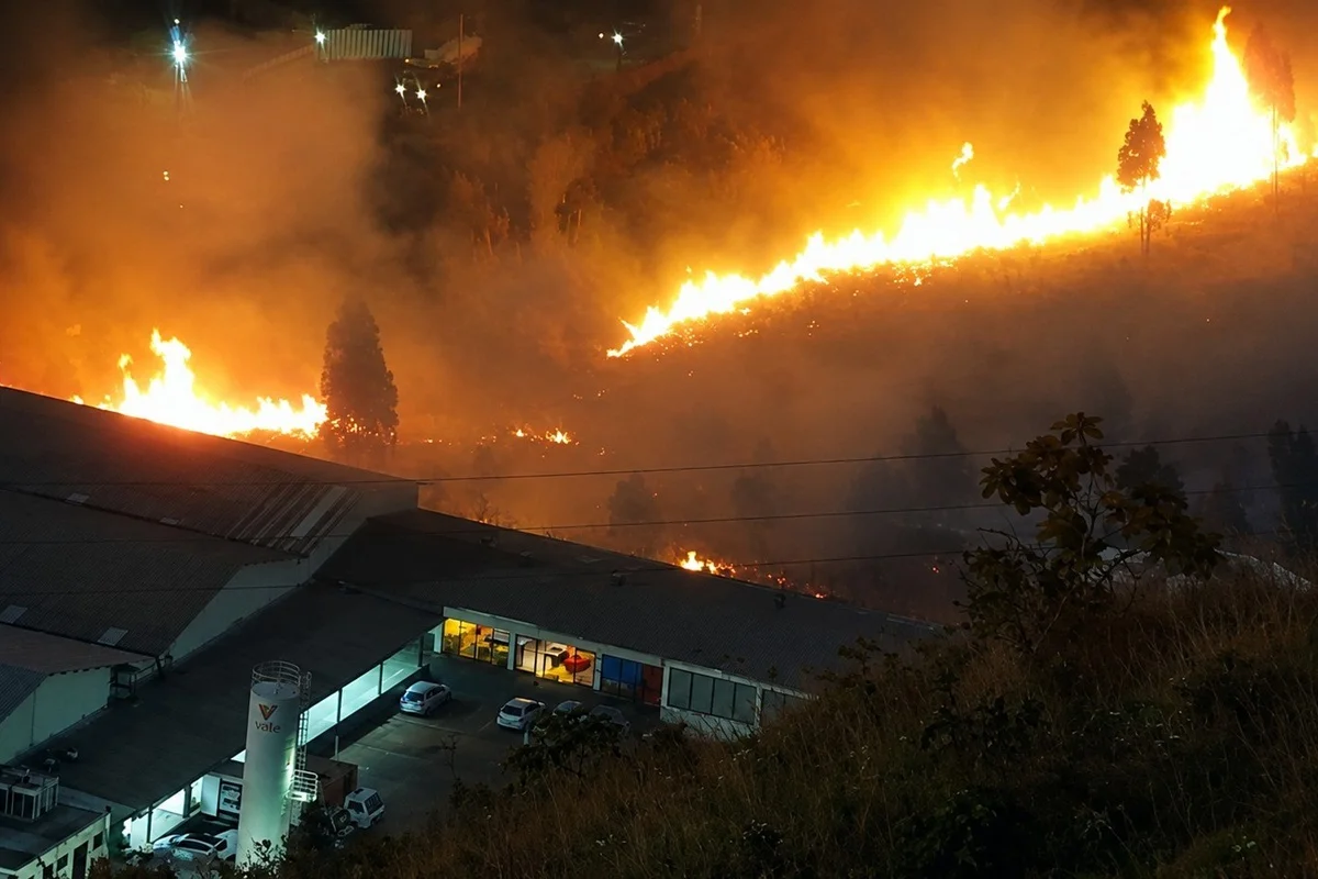 Fumaça e chamas em área de vegetação em Belo Horizonte