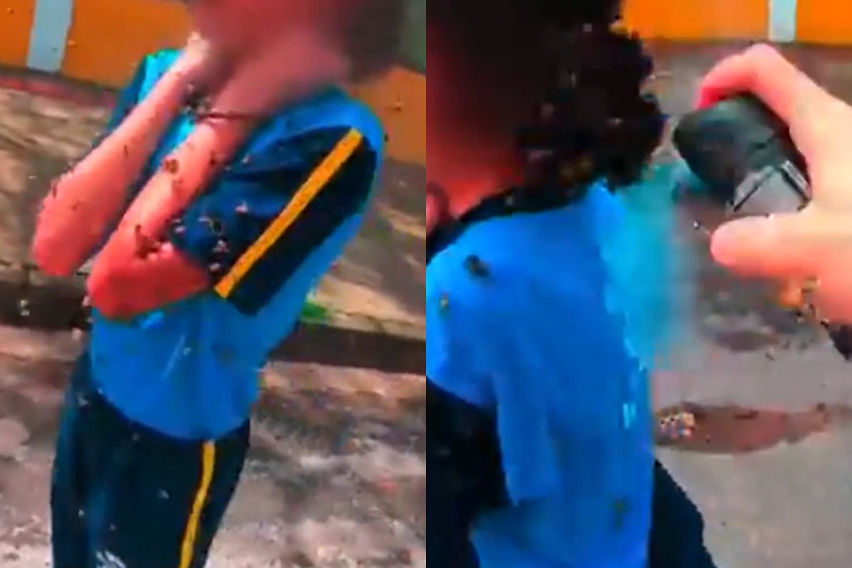 Adolescente atacada por abelhas recebe socorro em Ibirité