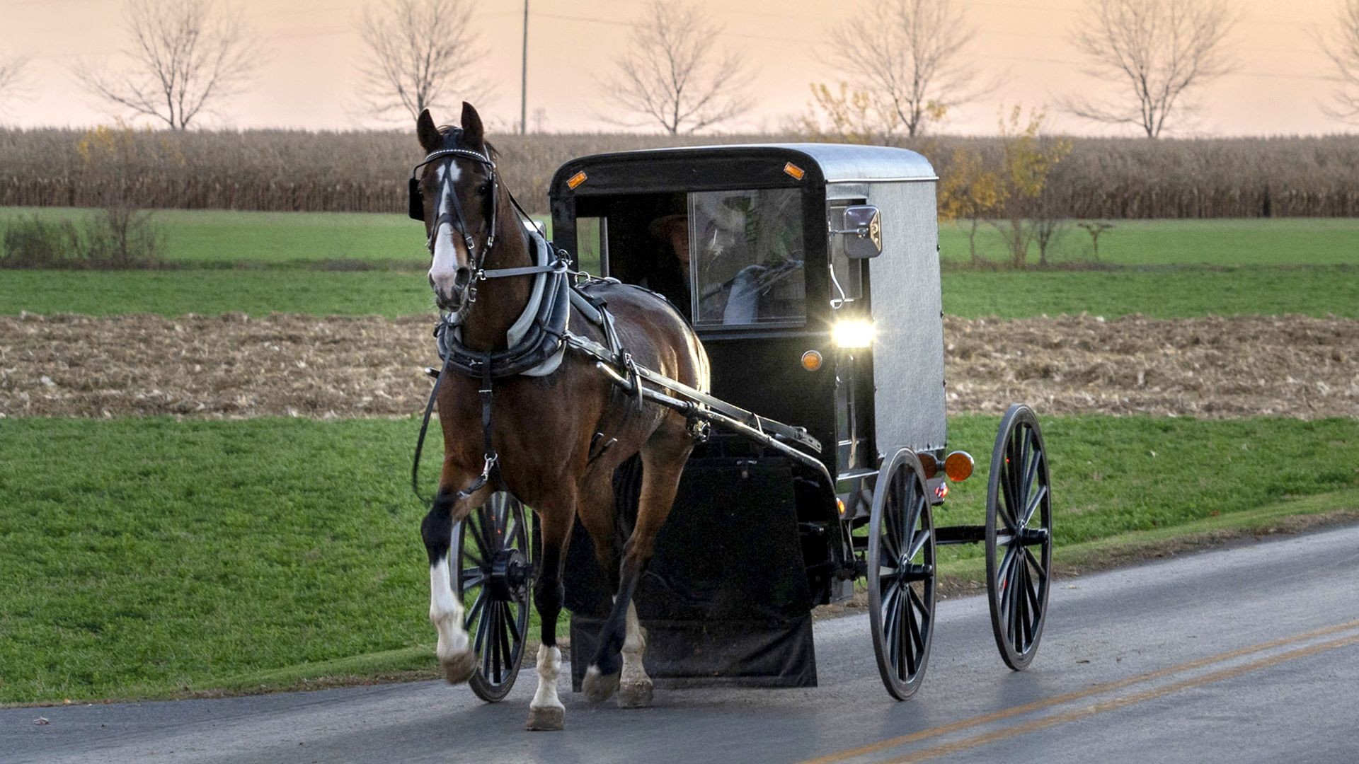 Comunidade amish em área rural da Pensilvânia