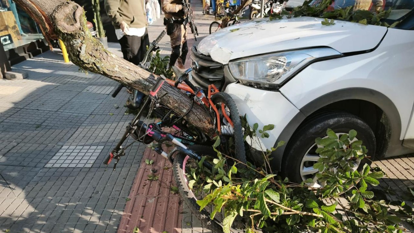 Carro após invadir a calçada e atingir árvore em Itajaí