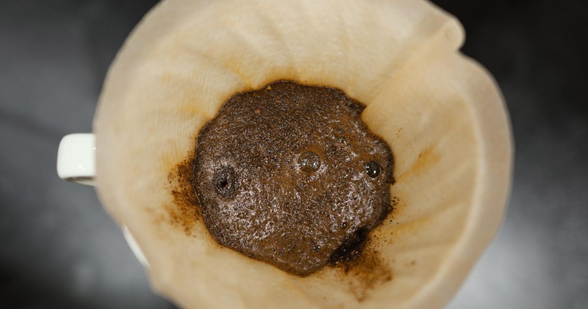Borra de café seca e canela em pó em recipientes