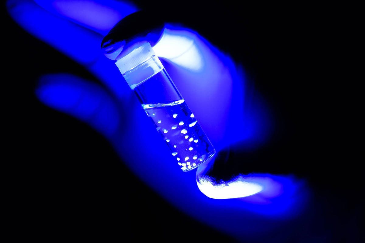 Frasco com organoides sob luz fluorescente em laboratório