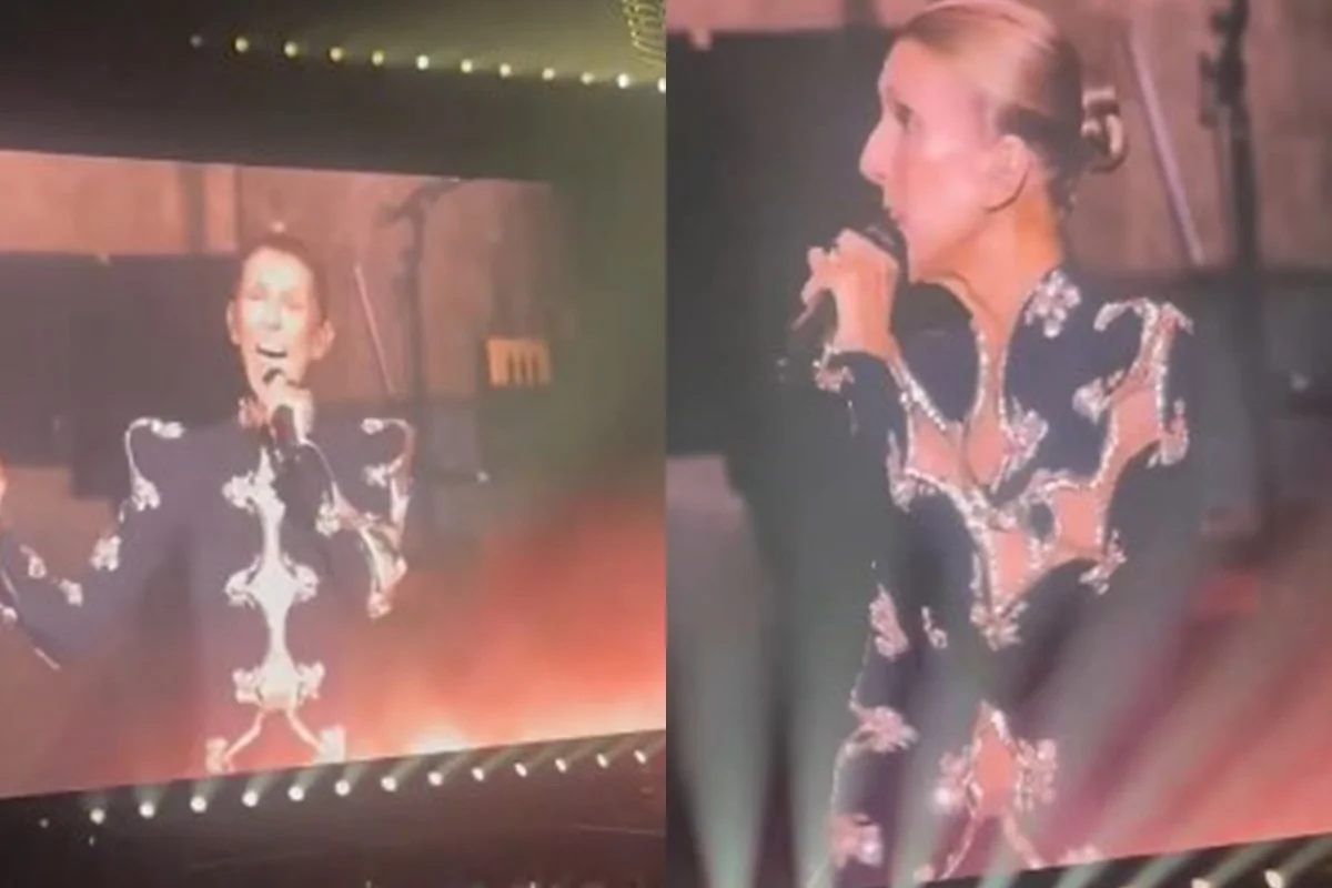 Céline Dion durante apresentação musical