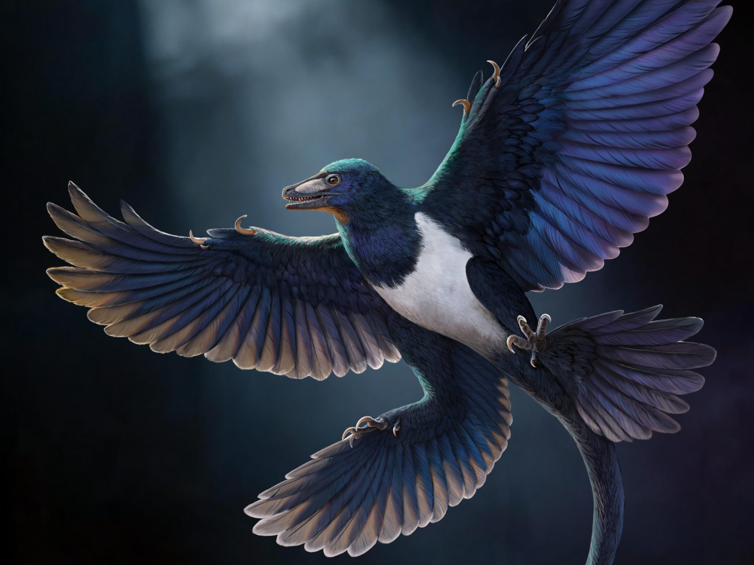Reconstrução artística do dinossauro com penas Norellraptor barsboldi