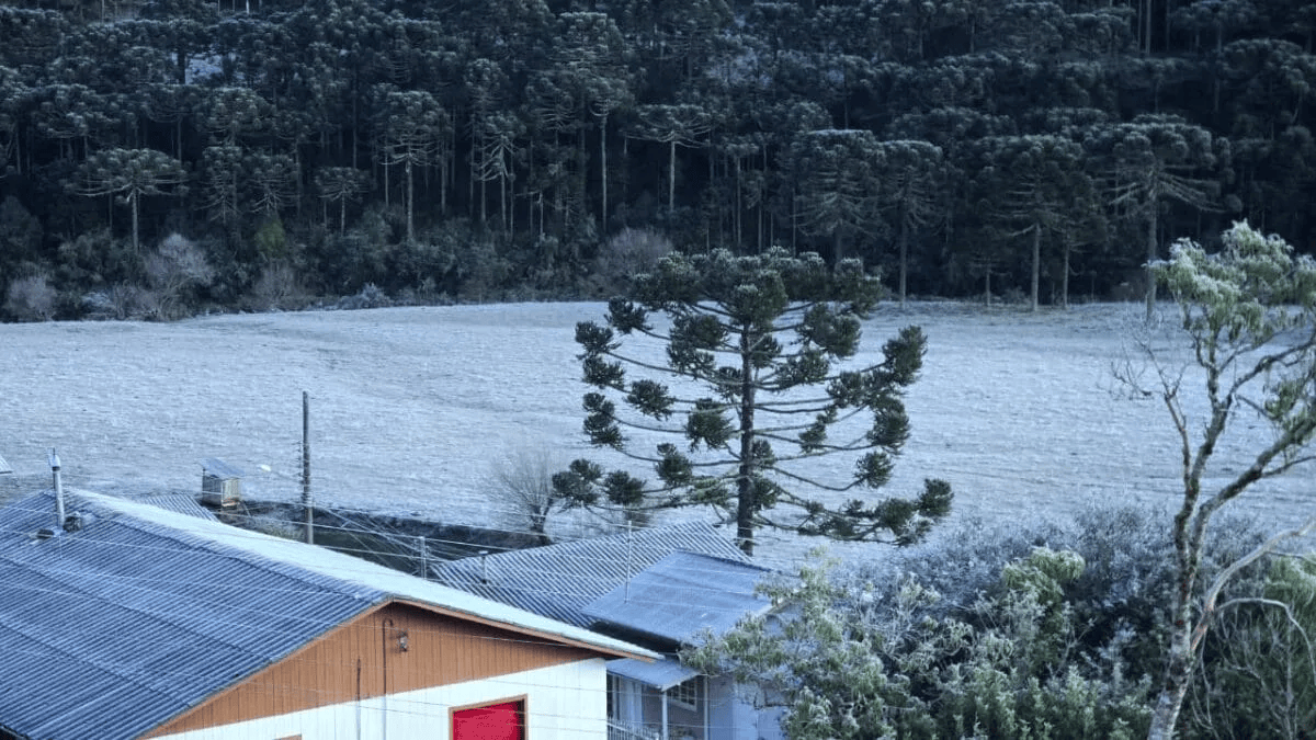 Paisagem com geada em Bom Jardim da Serra, Santa Catarina