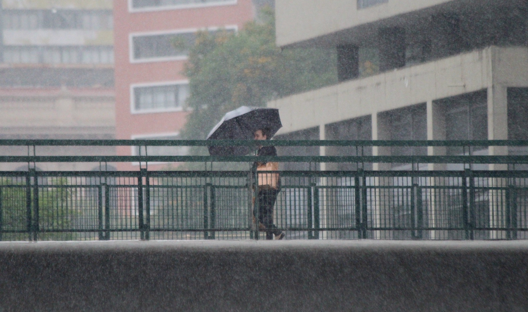 Tempo frio e chuvoso na região central de São Paulo