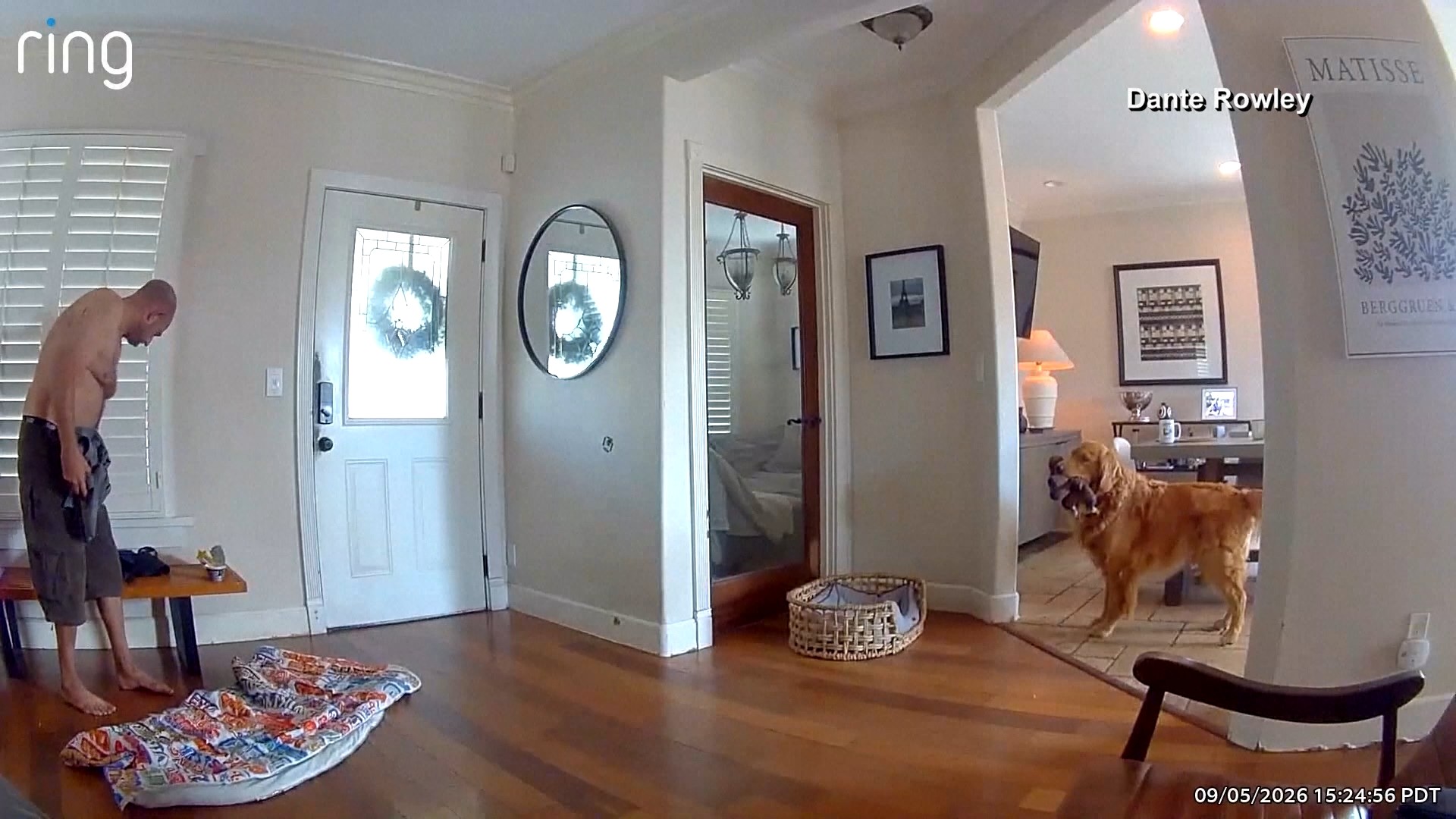 Golden retriever com brinquedo na boca diante de homem dentro de casa