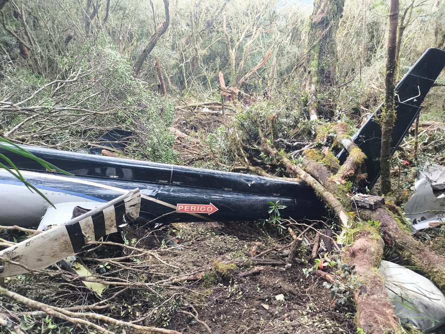 Destroços do helicóptero que transportava o cantor Rick em área de mata