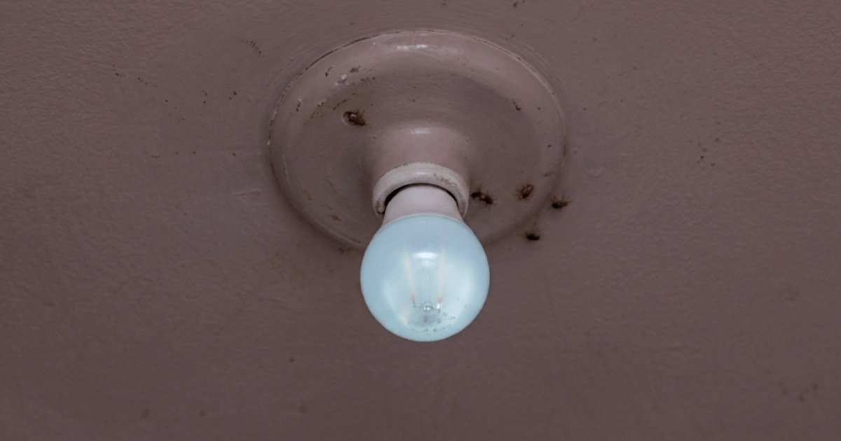 Lâmpada LED acesa em soquete