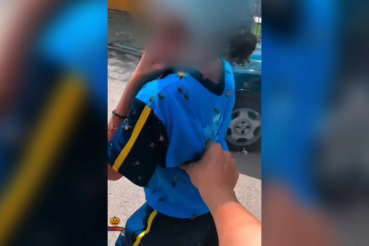 Motoboy ajuda estudante durante ataque de abelhas
