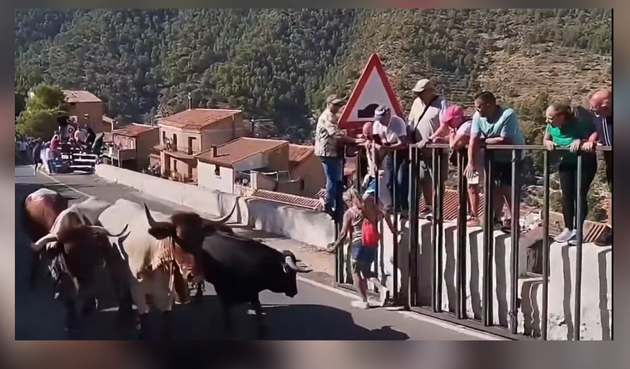 Touro se aproxima de mulher durante corrida em Ayna, na Espanha