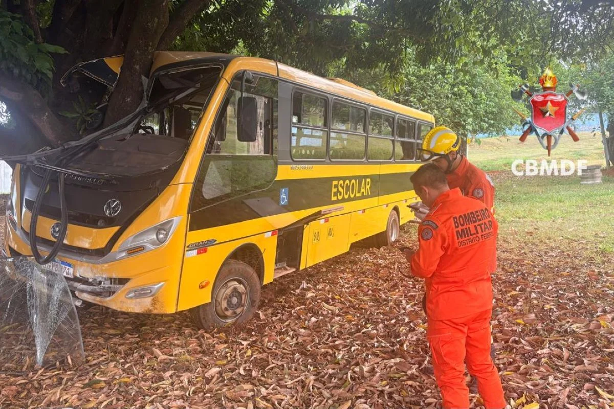 Ônibus escolar parado após bater em árvore na BR-020