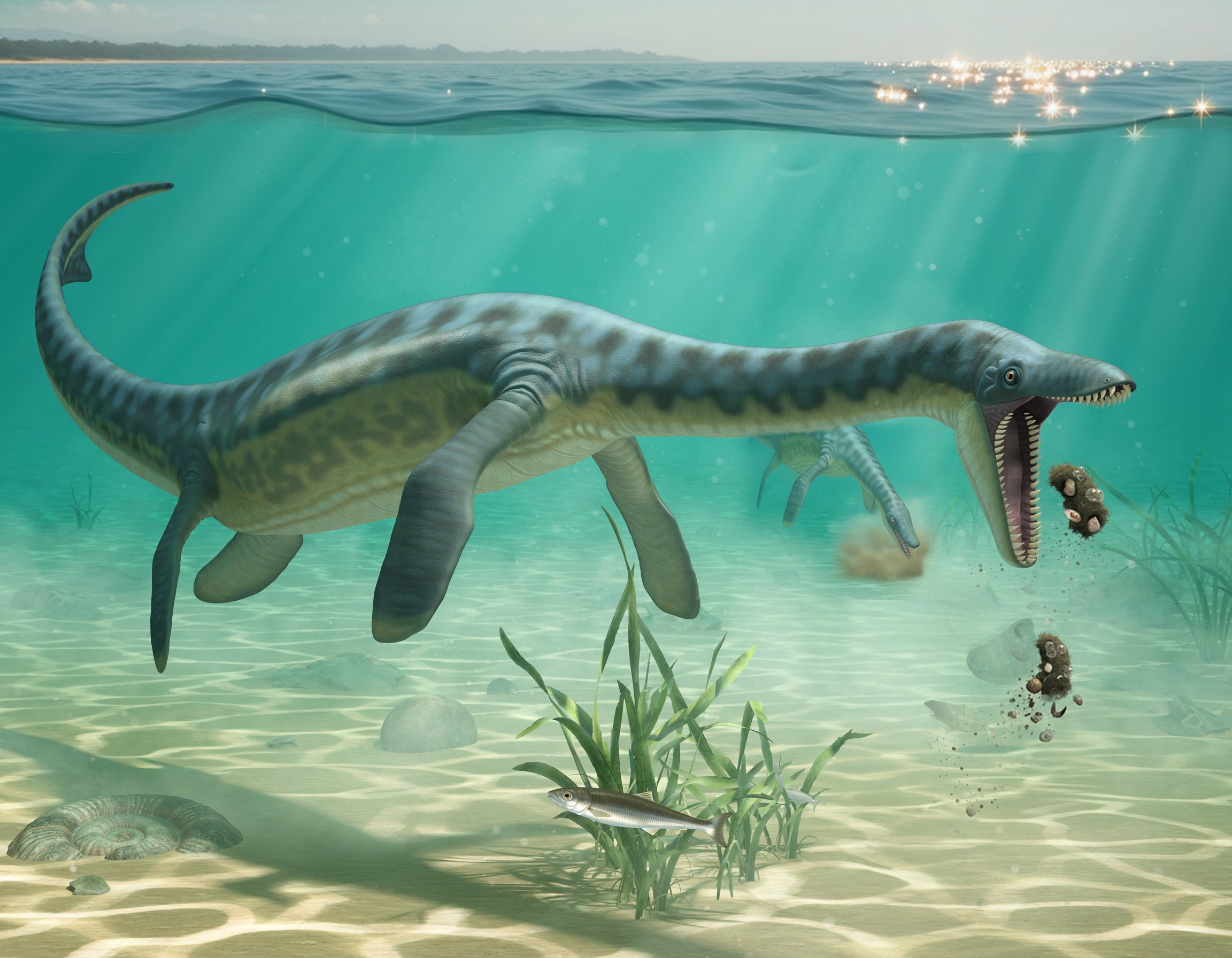 Ilustração de plesiossauros se alimentando no fundo do mar