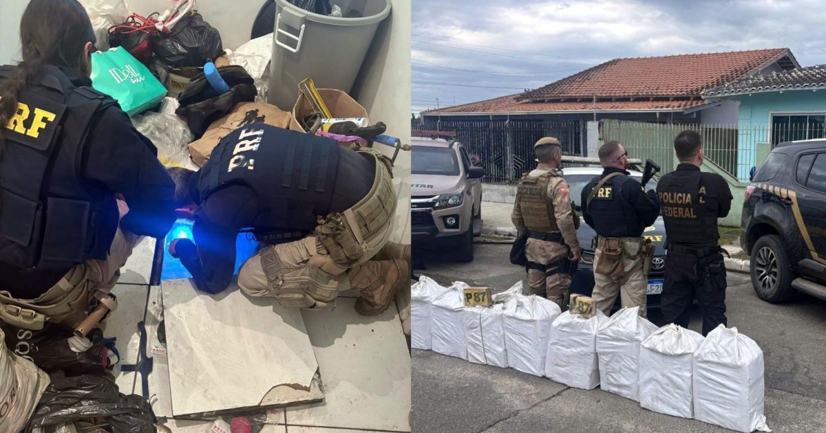 Policiais inspecionam compartimento subterrâneo com cocaína apreendida em Itajaí