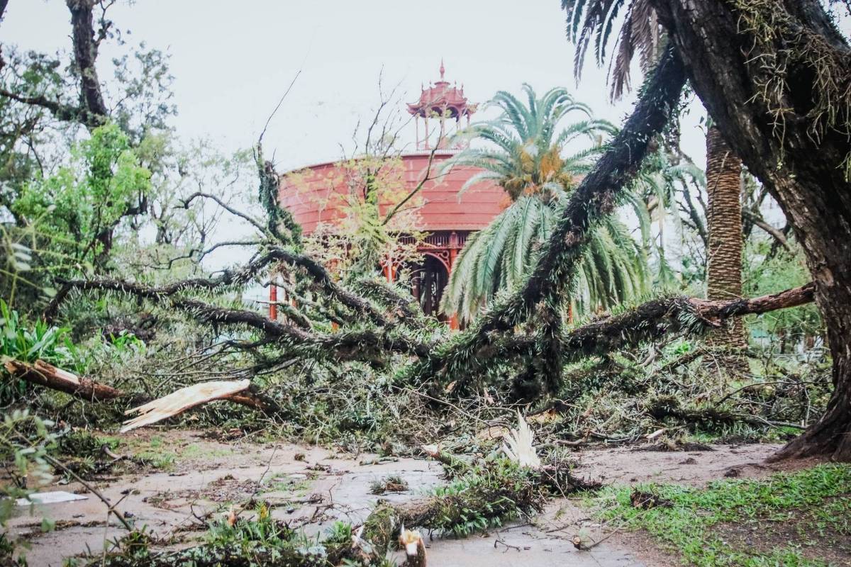 Estragos provocados pelo temporal em Pelotas, no Rio Grande do Sul