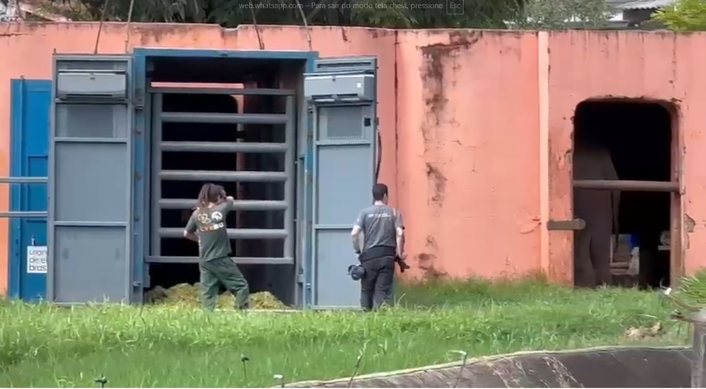 Tratador Sérgio Domingues se despede do elefante Sandro em Sorocaba