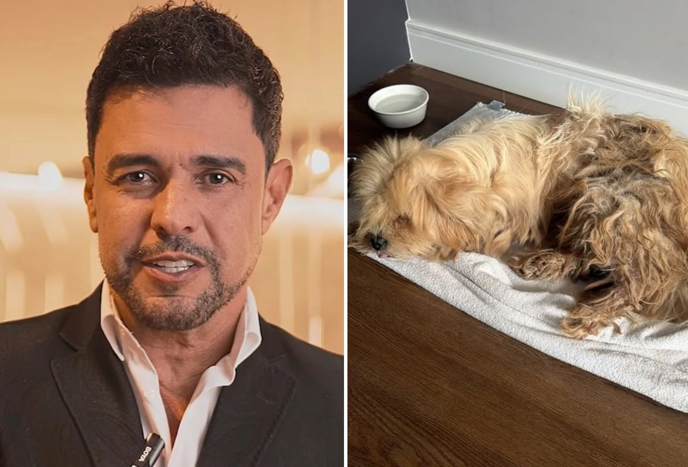 Zezé Di Camargo com cachorro adotado
