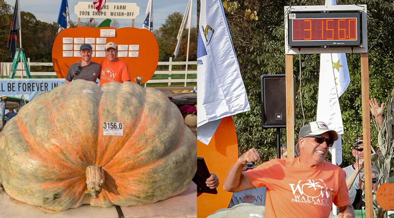 Abóbora gigante de quase 1.500 kg bate recorde mundial no Guinness