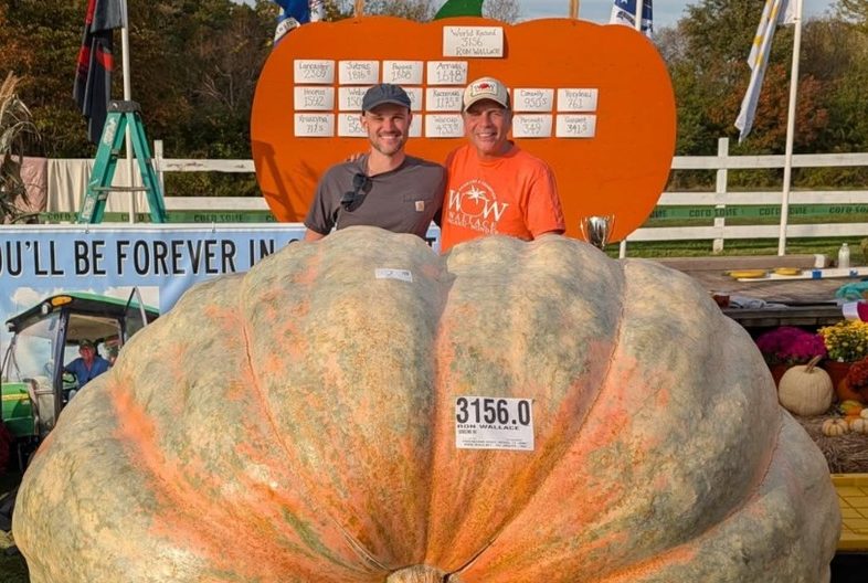 Abóbora gigante cultivada por Ron Wallace nos Estados Unidos