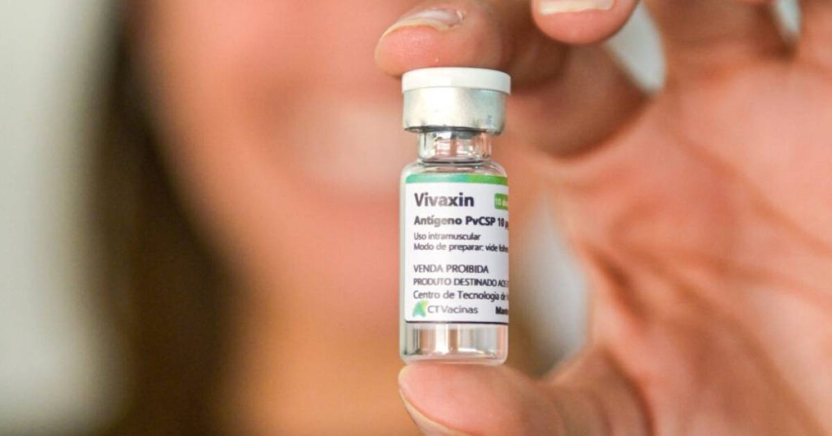 Vivaxin, vacina brasileira contra a malária
