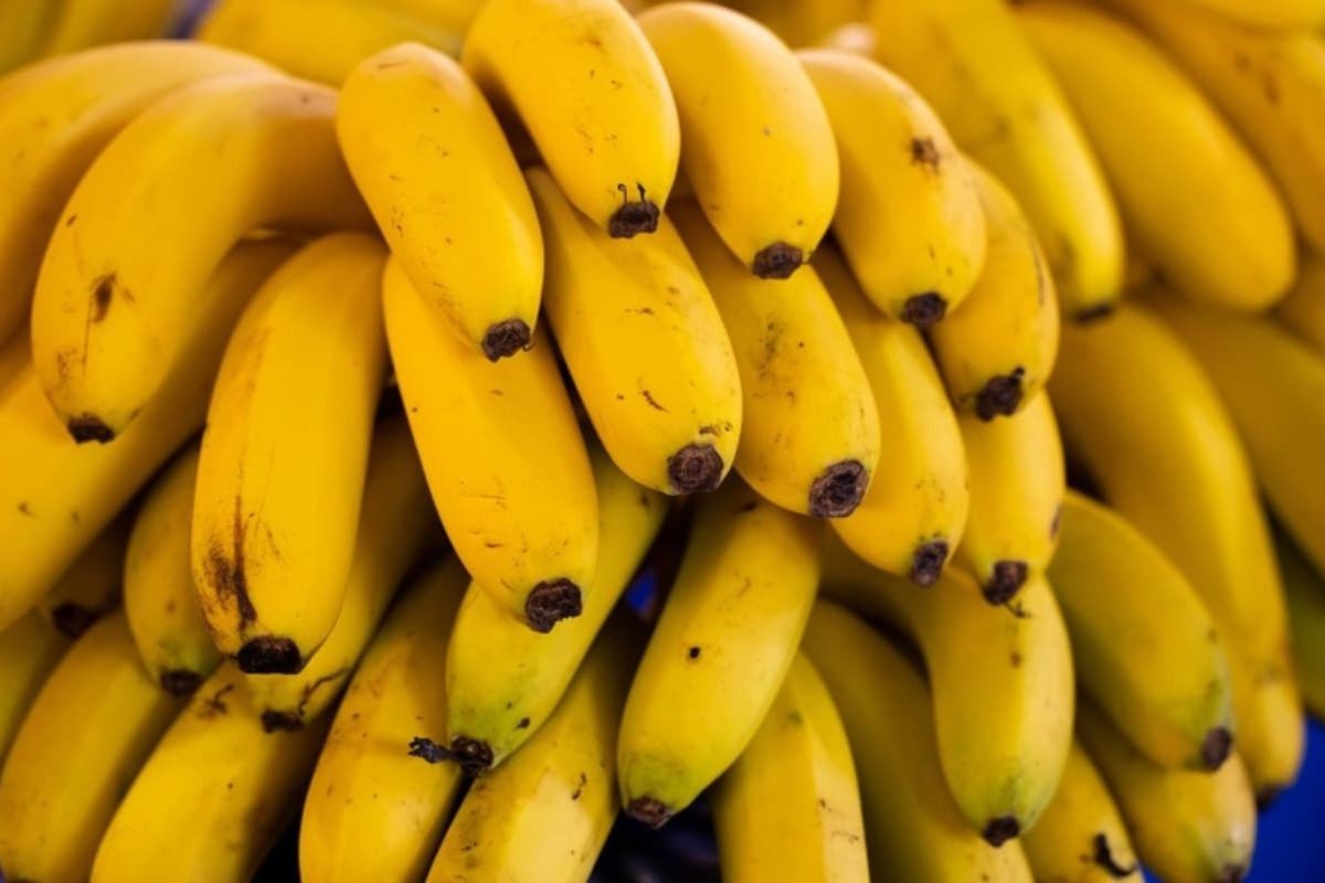 Bananas cortadas em rodelas