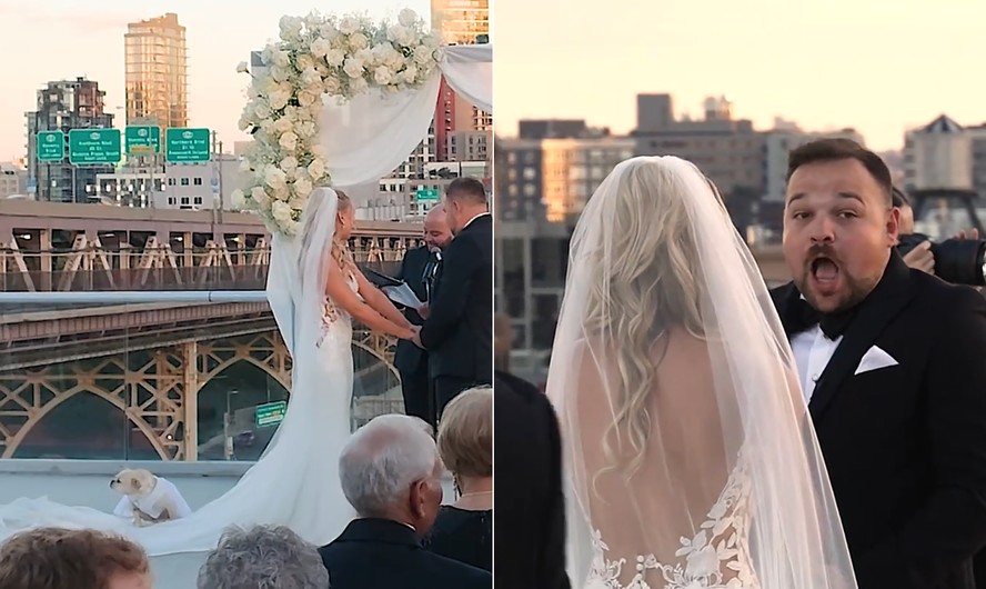 Cadela Roki próxima ao vestido de noiva durante cerimônia de casamento
