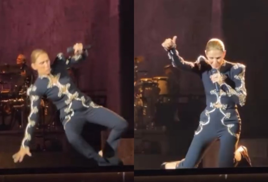 Céline Dion durante apresentação em Paris
