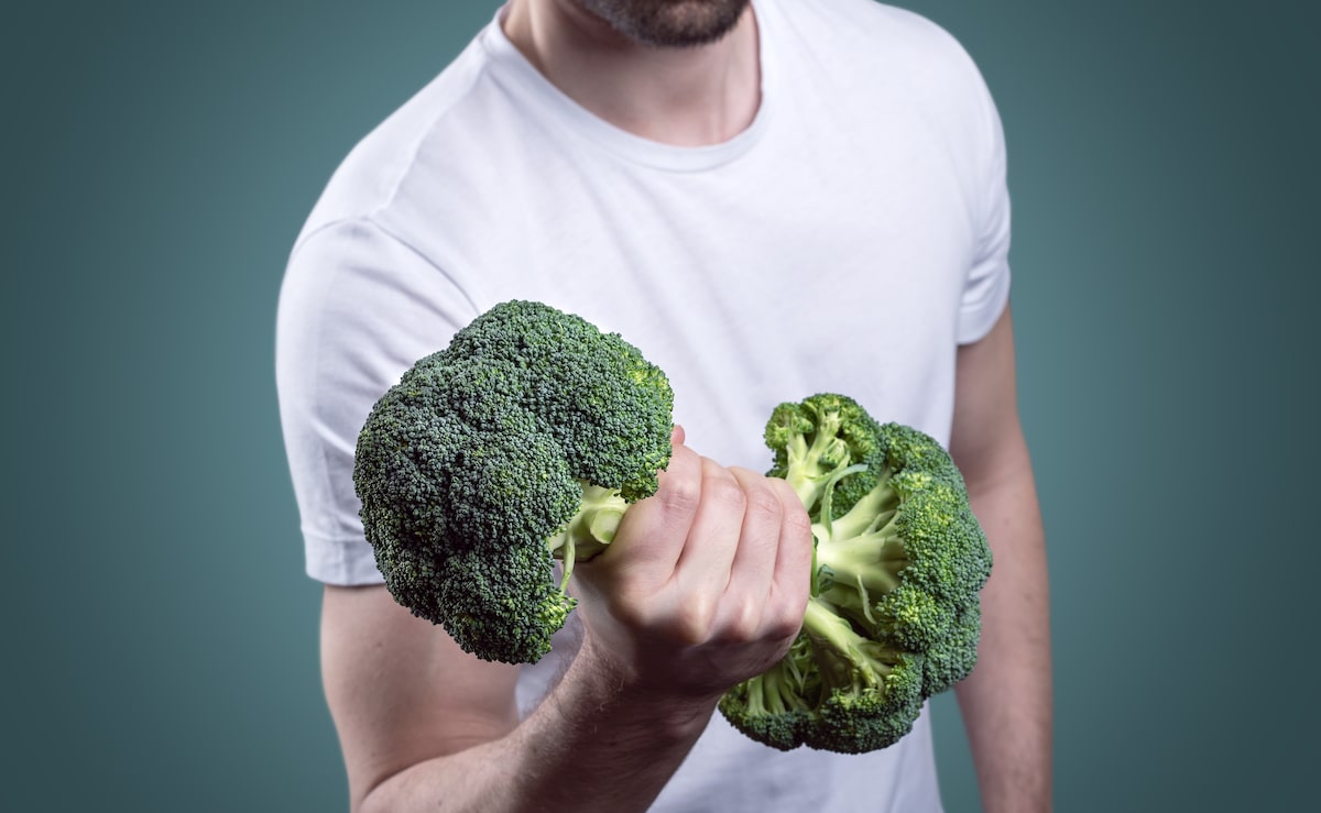 Alimentos de origem vegetal
