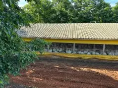 Granja de perus em Nova Itaberaba, Santa Catarina