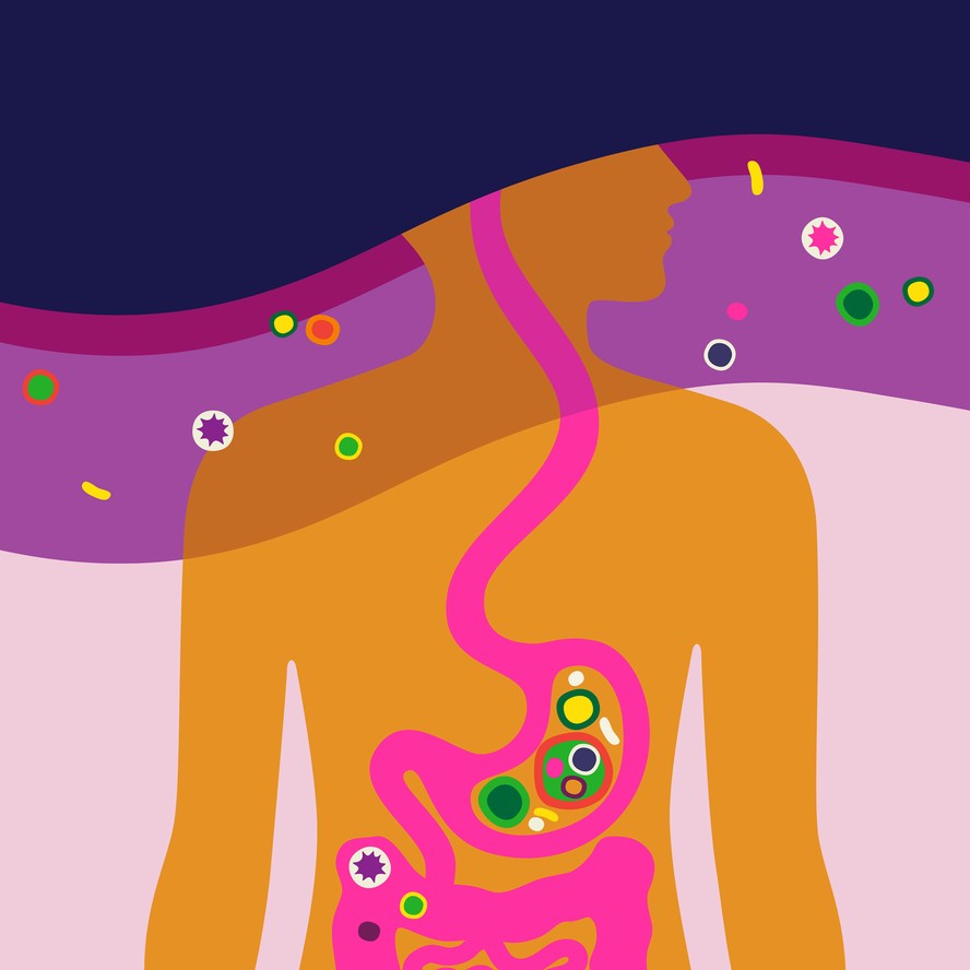 Ilustração do intestino humano