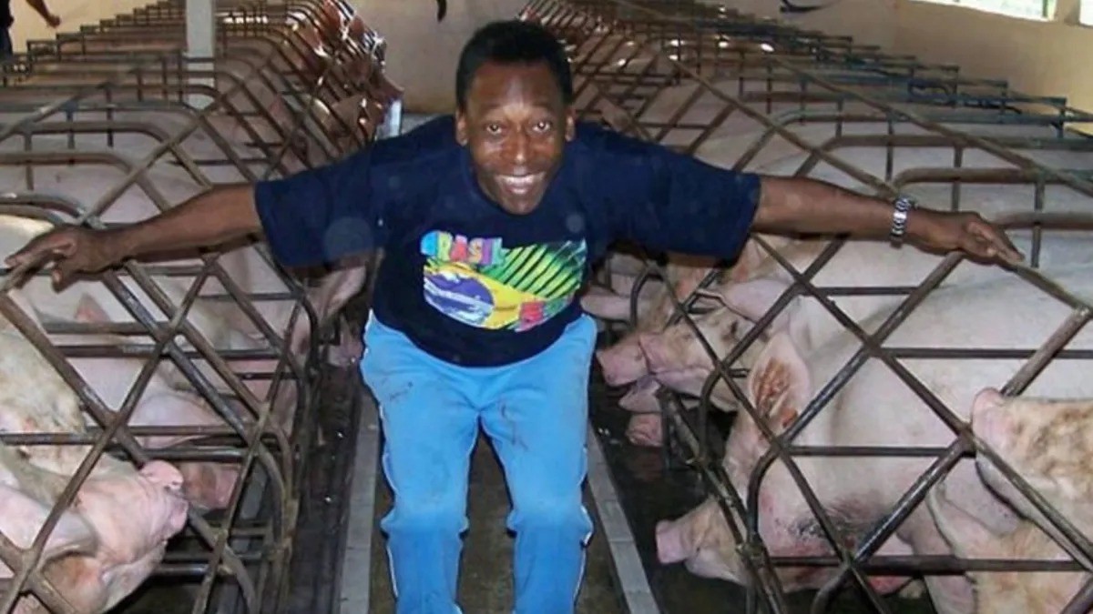 Fazenda que pertenceu a Pelé em Juquiá, no interior de São Paulo
