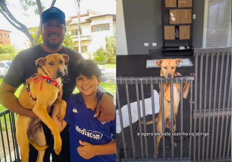Filhote caramelo Chico com família adotiva