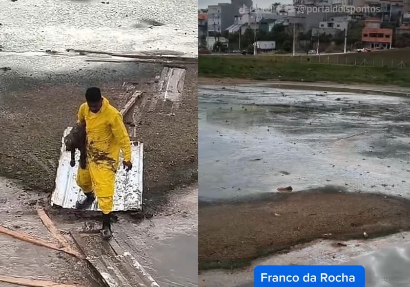 Cachorro Mimo coberto de lama após resgate em piscinão de Franco da Rocha