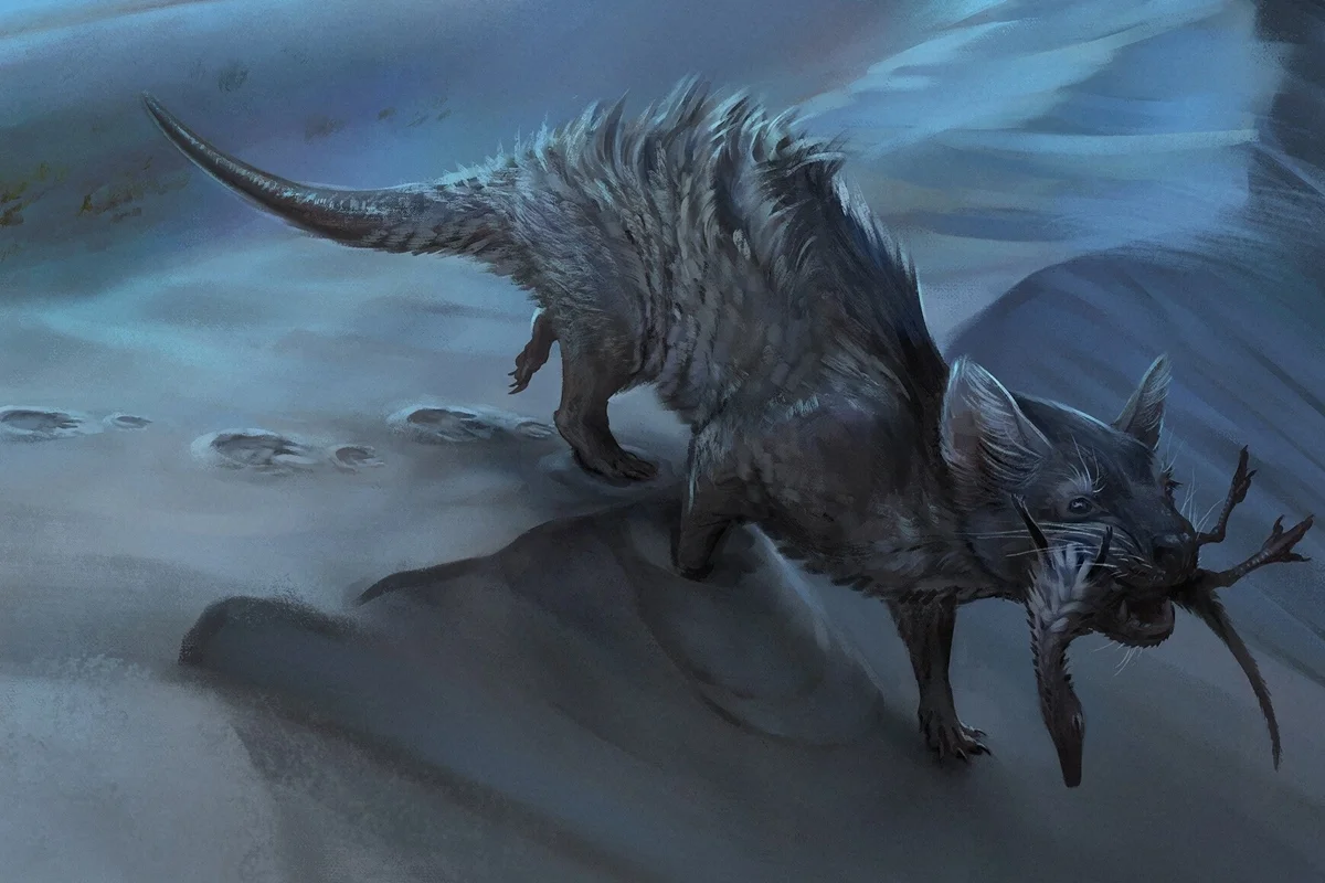Pegadas fossilizadas preservadas em placas de arenito