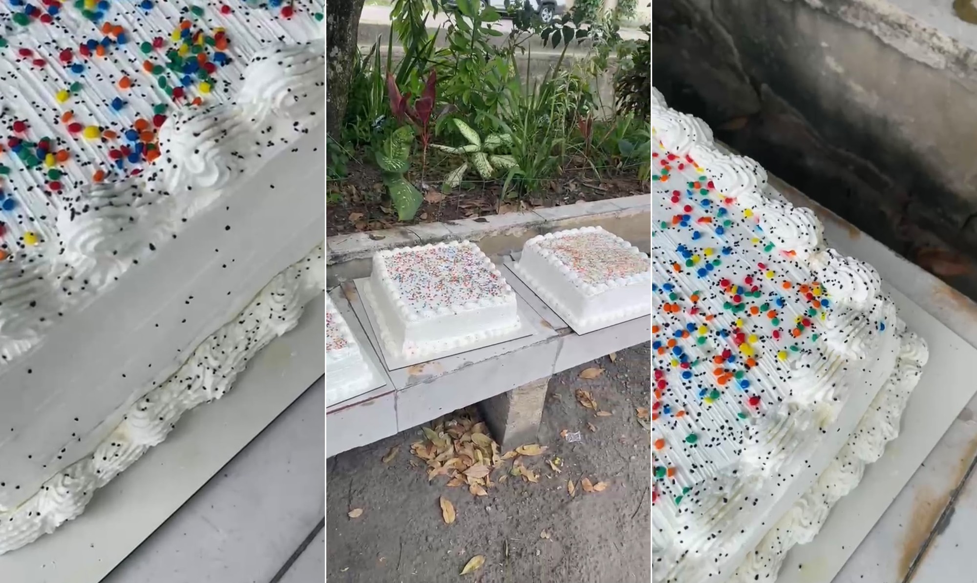 Pontos escuros na superfície de tortas apreendidas para perícia
