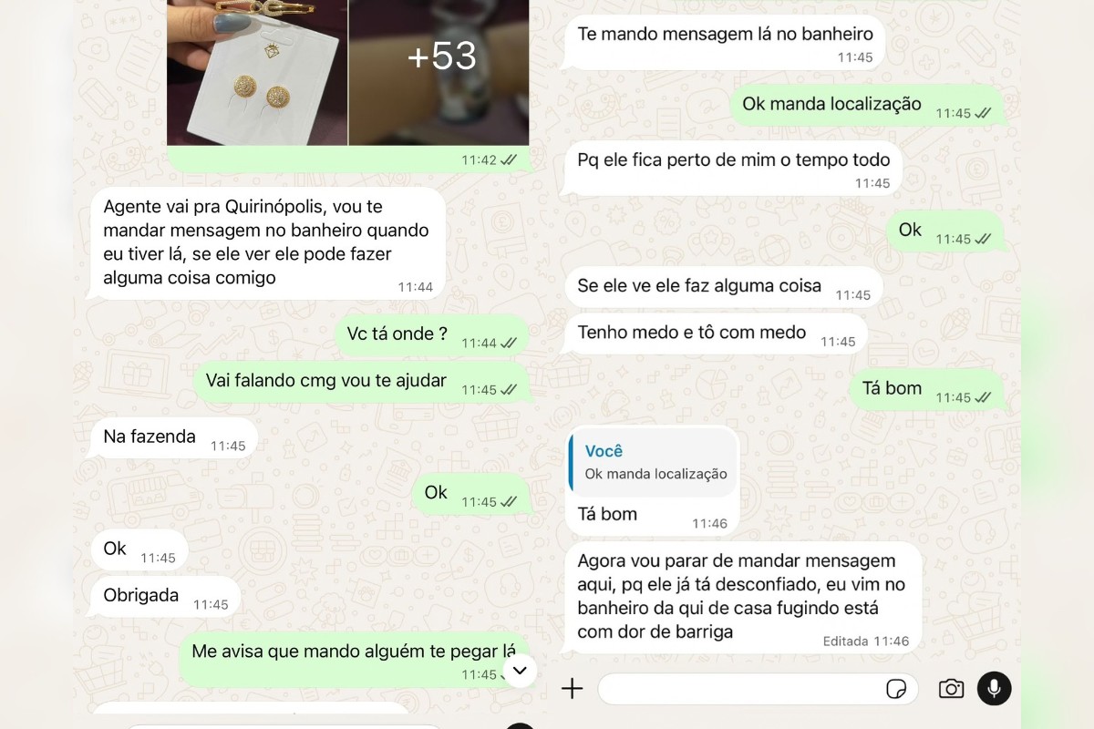 Conversa por mensagens entre escrivã e mulher resgatada em Quirinópolis