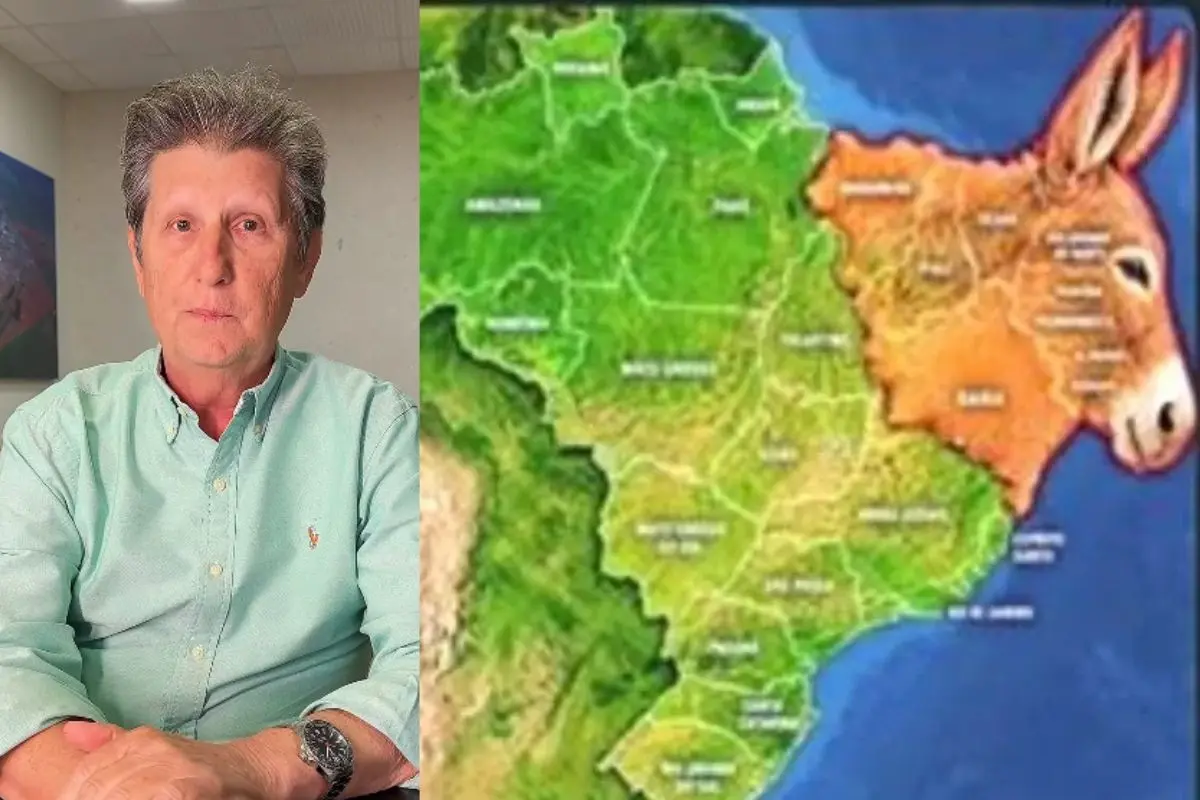 Montagem do mapa da Região Nordeste em formato de burro