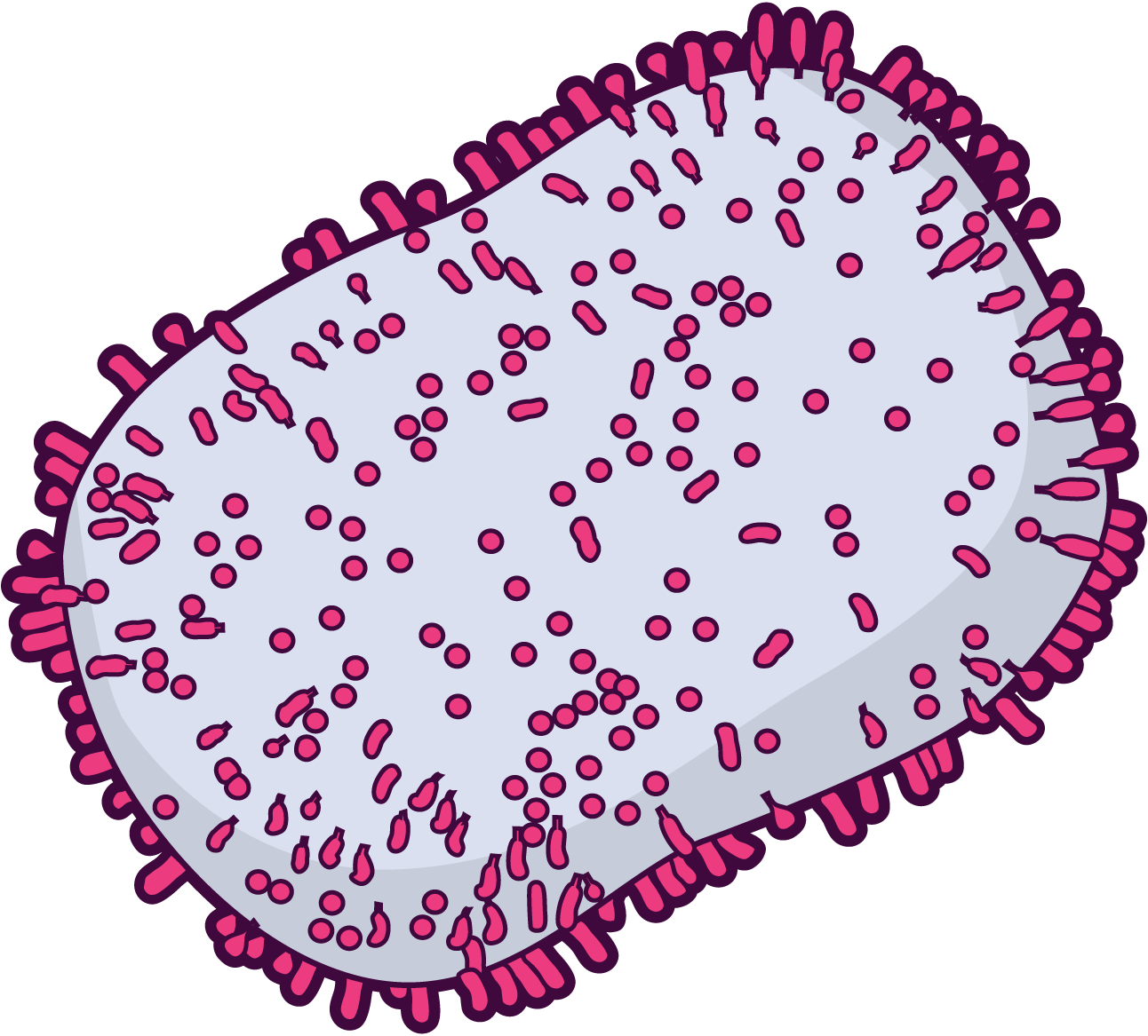 Ilustração científica do vírus causador da mpox