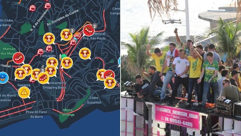 Waze animais na pista